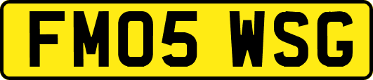 FM05WSG