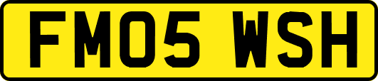 FM05WSH
