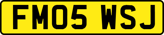 FM05WSJ