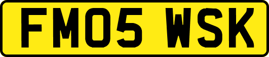 FM05WSK