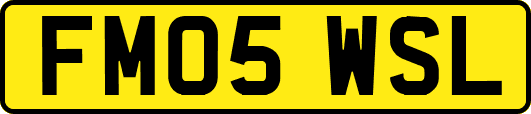 FM05WSL