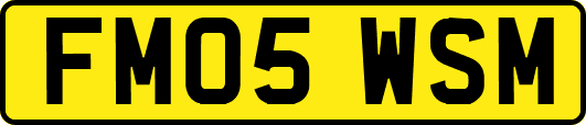 FM05WSM