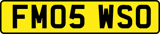 FM05WSO