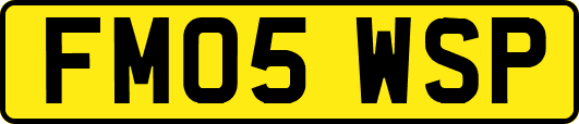 FM05WSP