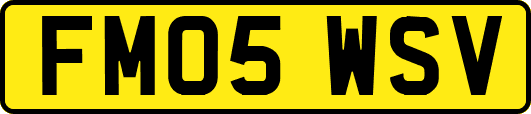 FM05WSV