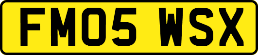 FM05WSX