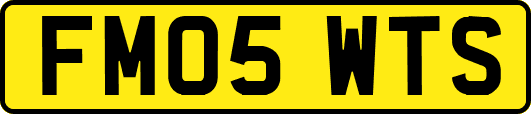 FM05WTS