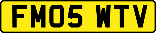 FM05WTV