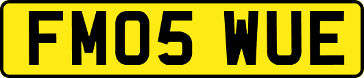 FM05WUE