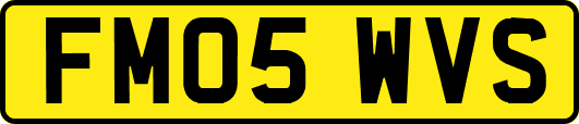 FM05WVS