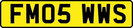 FM05WWS