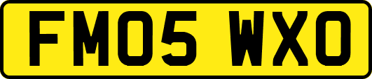 FM05WXO