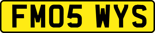 FM05WYS
