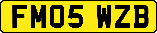 FM05WZB