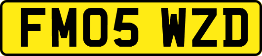 FM05WZD