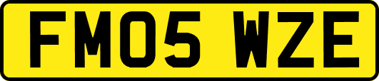 FM05WZE
