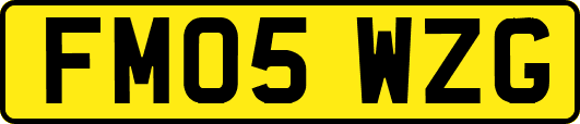 FM05WZG
