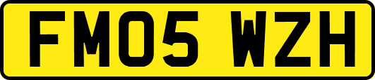 FM05WZH