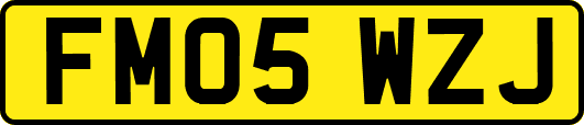 FM05WZJ