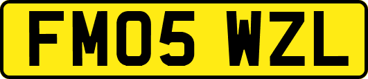 FM05WZL