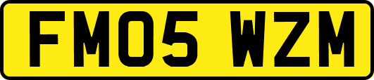FM05WZM