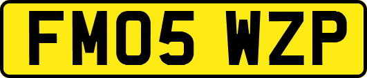 FM05WZP