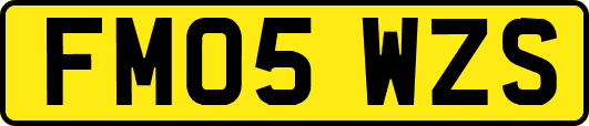 FM05WZS