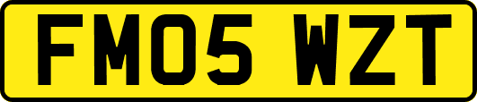 FM05WZT