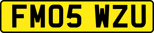 FM05WZU