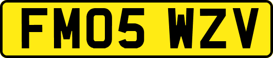 FM05WZV