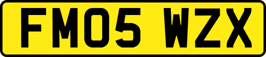 FM05WZX