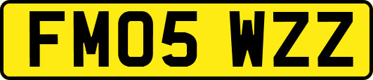 FM05WZZ