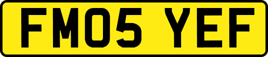 FM05YEF
