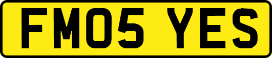 FM05YES