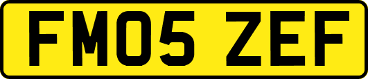 FM05ZEF