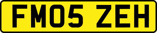 FM05ZEH