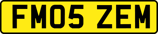 FM05ZEM
