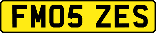 FM05ZES