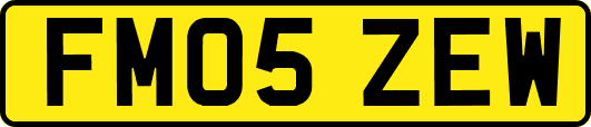 FM05ZEW