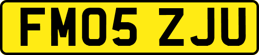 FM05ZJU