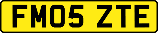 FM05ZTE
