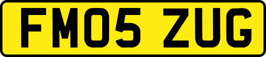 FM05ZUG