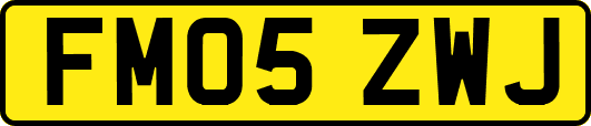 FM05ZWJ