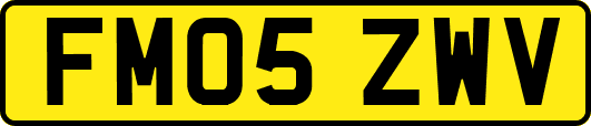 FM05ZWV
