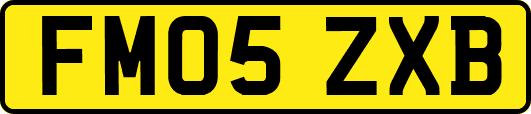 FM05ZXB