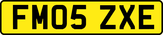 FM05ZXE