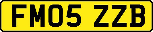 FM05ZZB