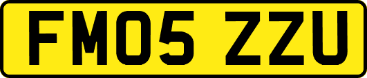 FM05ZZU