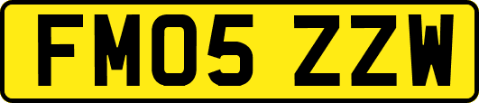 FM05ZZW