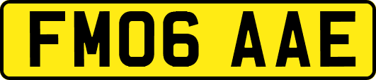 FM06AAE